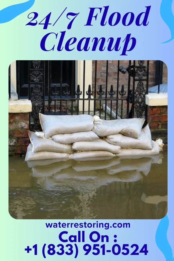 24/7 Flood Cleanup in Erlands Point, WA