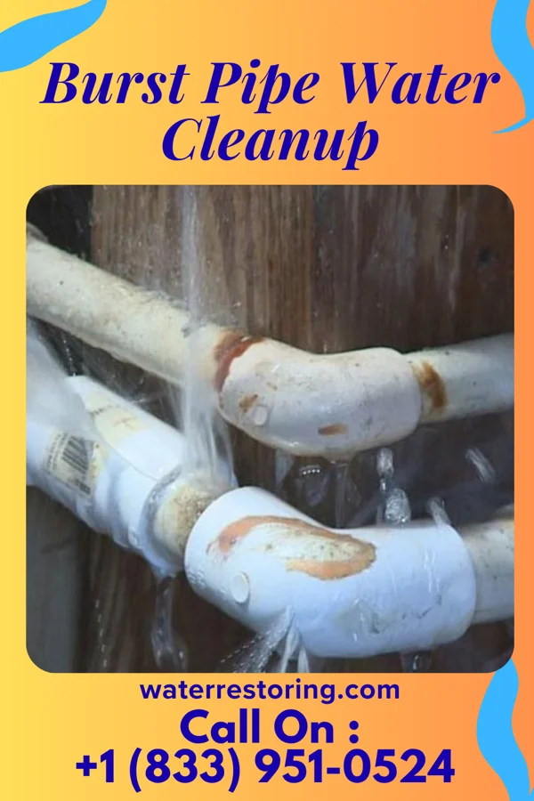Burst Pipe Water Cleanup in Erlands Point, WA
