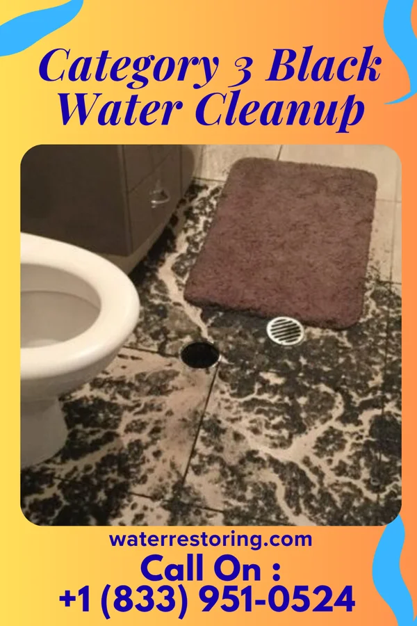 Category 3 Black Water Cleanup in Erlands Point, WA
