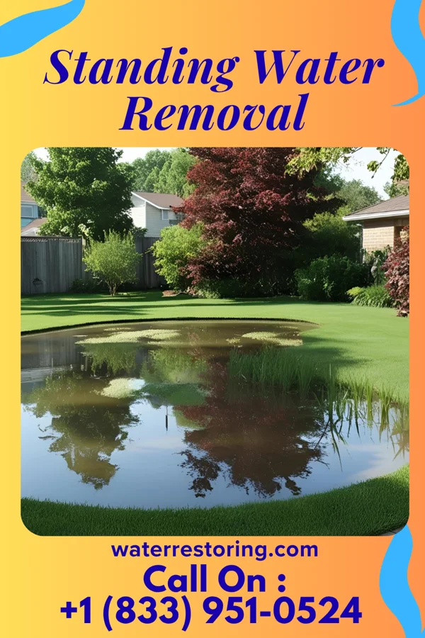 Standing Water Removal in Erlands Point, WA